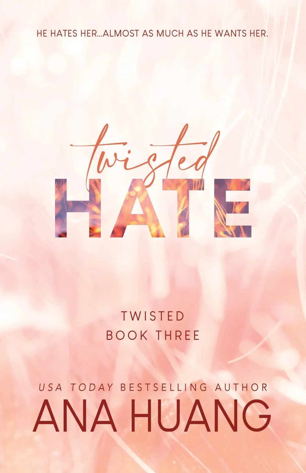 Couverture de twisted HATE
